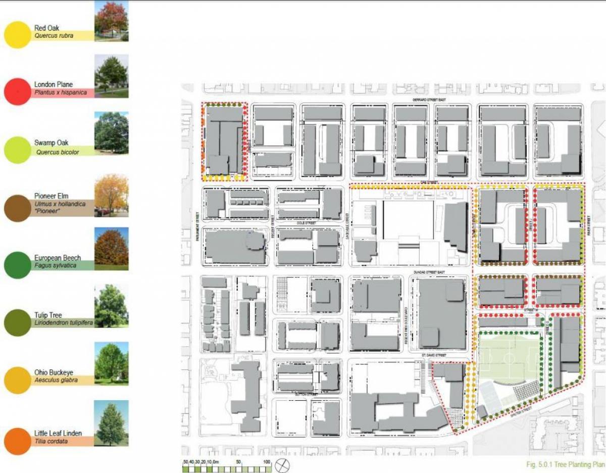 Karte der Revitalisierung plan, der Regent Park Toronto phase 3