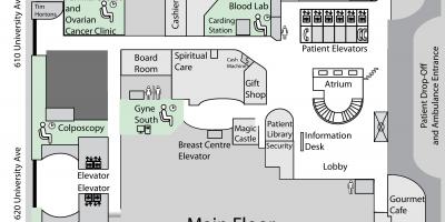 Karte von Princess Margaret Cancer Centre in Toronto Erdgeschoss