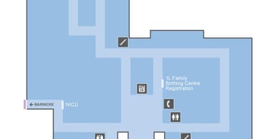 Karte von St. Joseph ' s Health centre, Toronto OLM level 1