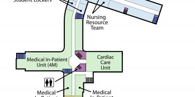 Karte von St. Joseph ' s Health centre, Toronto Stufe 4
